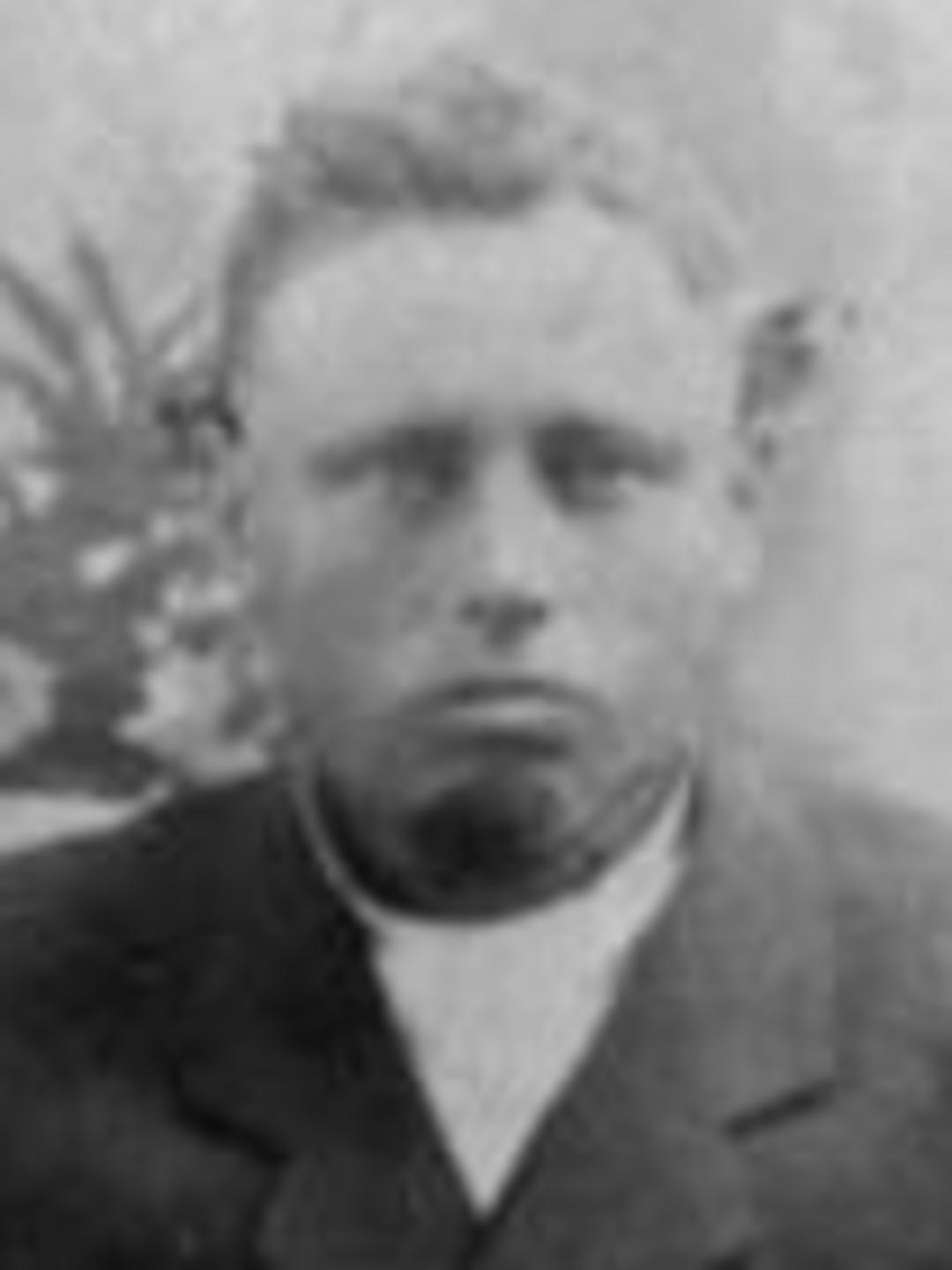 Henry Jones (1849 - 1909) Profile